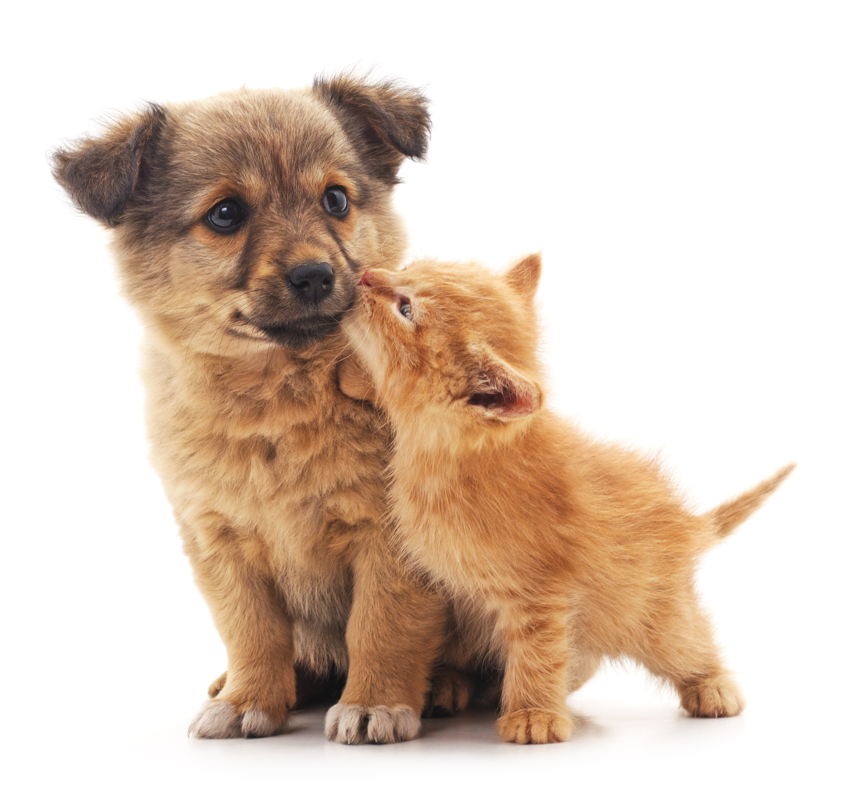 Time to learn to KISS!